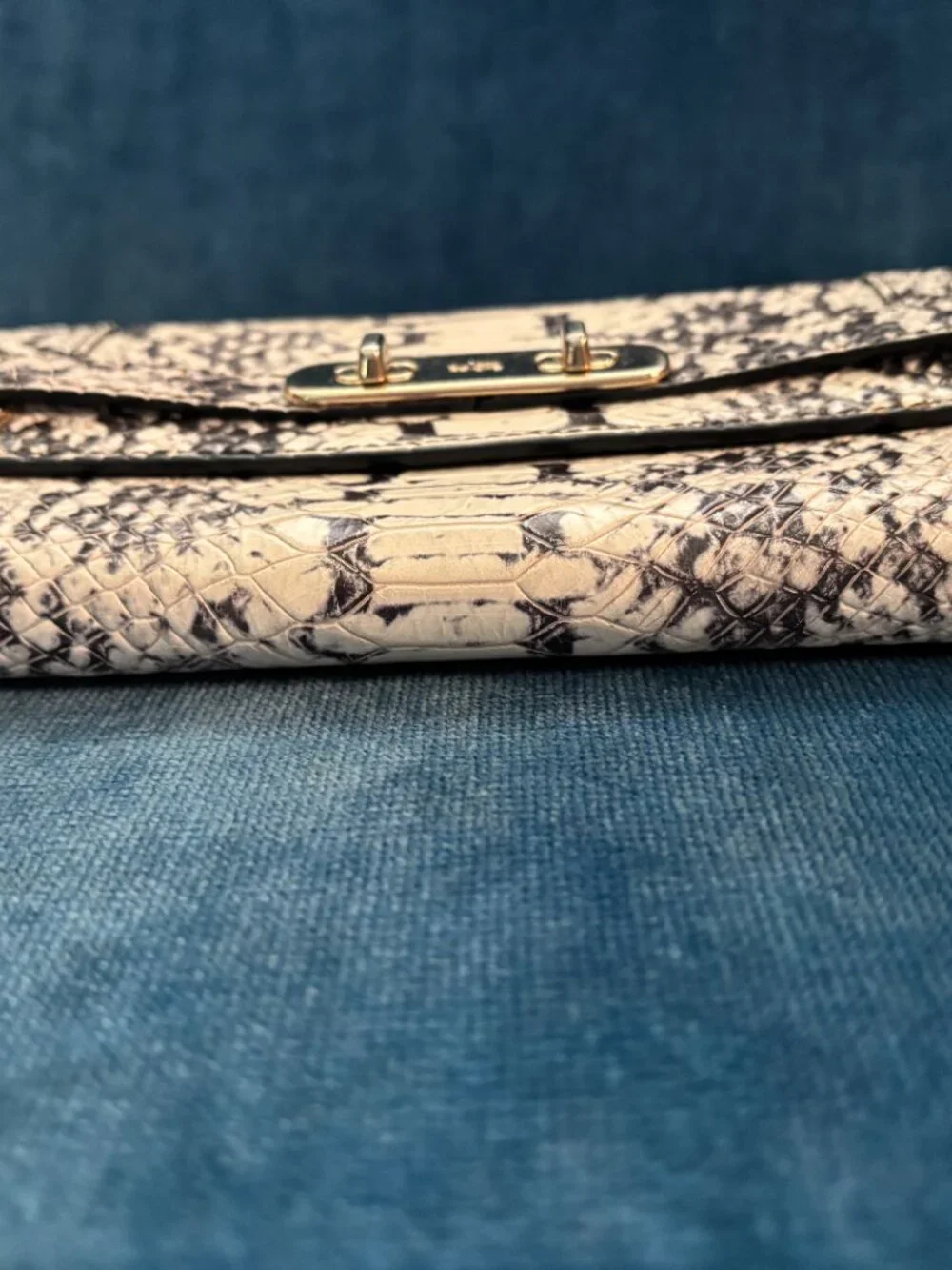 Coach "Swagger" Wallet in Python - Picture 8 of 8